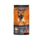 4 Leonardo Adult Duck 1